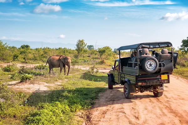 Africa Safari-1