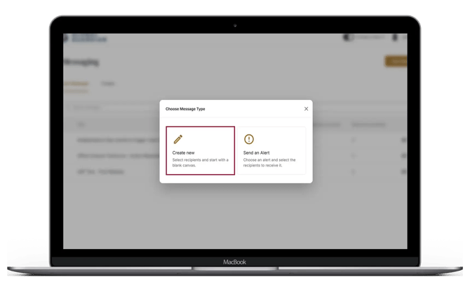 HALO - Mass Messaging - Choose Message Type-2 copy