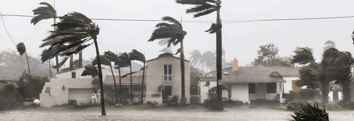 hurricane winds
